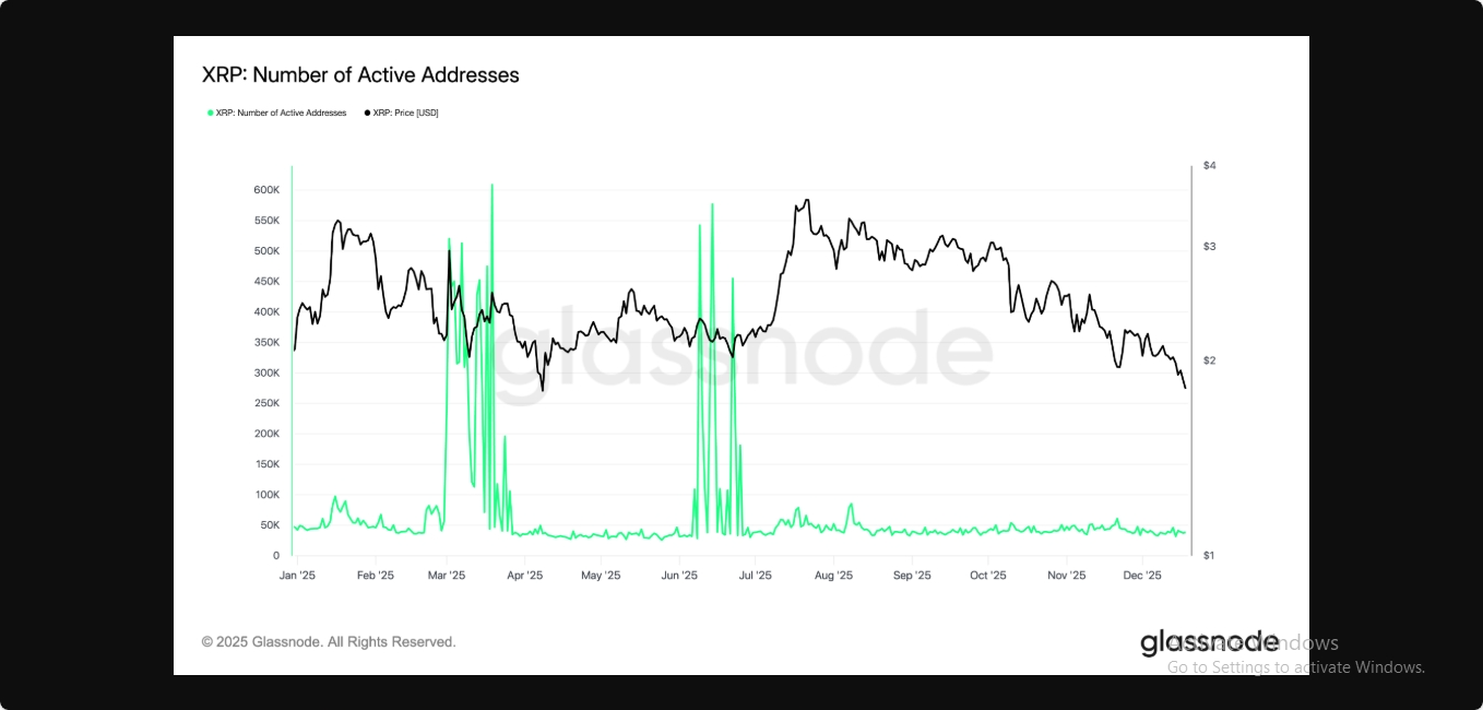 ارتش ریپل همه چیز را به جز قیمت ۵ دلار به دست آورد: آیا ۲۰۲۶ تحویل خواهد داد؟