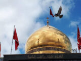 صبر آگاهانه حضرت زینب(س) عامل ماندگاری نهضت عاشورا و بیداری جامعه
