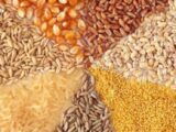 نهاده‌های فروخته‌شده گران نمی‌شود