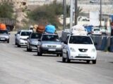 افزایش سفرهای ارزان‌قیمت نوروزی؛ راهکارهای کارشناسی انجمن گردشگری ایران برای مدیریت ایمن و هوشمند