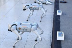 تامین امنیت جام جهانی فوتبال با این سگ‌های عجیب