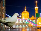 جنگ‌های شناختی در کلام و سیره امام رضا(ع) بررسی می شود