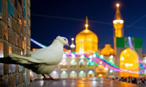 جنگ‌های شناختی در کلام و سیره امام رضا(ع) بررسی می شود