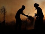 هشدار افزایش دما و وزش باد در شمال؛ احتمال وقوع آتش‌سوزی در جنگل‌ها