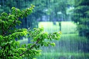 ترسالی نسبی در برخی استان‌های کشور / میانگین بارندگی در تهران کمتر از نرمال است