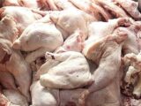 توزیع روزانه 2500 تن مرغ و گوشت قرمز در سطح تهران