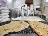 ذخایر گندم و آرد برای 6 ماه تامین است