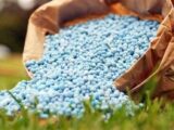رشد 89 درصدی قیمت اوره / جهان در آستانه تورم مواد غذایی