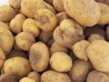 عرضه گسترده سیب زمینی تازه با قیمت 50 هزار تومان آغاز شد