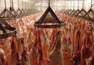 گوشت به وفور موجود است/ نیازی به استفاده از ذخایر استراتژیک نیست