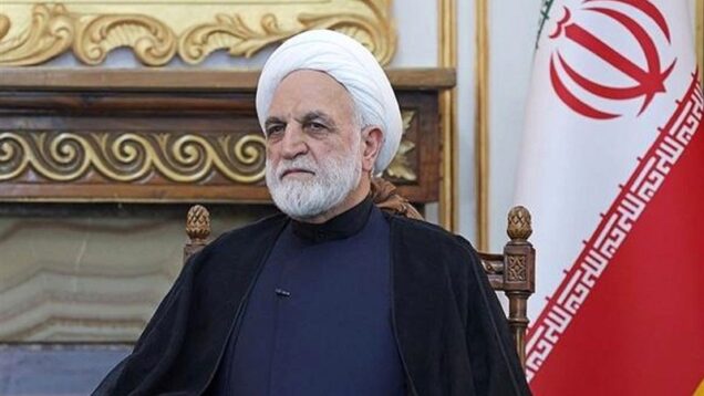 اژه‌ای: تا ابد داغدار شهدای خردسال میناب هستیم