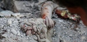 بنیاد شهید آمار رسمی شهدای جنگ را اعلام کرد