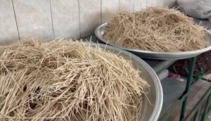 توزیع آش نذری توسط بسیجیان قوچانی