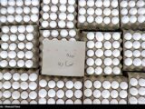 دستور وزیر کشاورزی برای اصلاح قیمت تخم مرغ