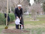 محسنی اژه‌ای، یک اصله نهال غرس کرد
