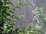 آسمان شمال و غرب تغییر کرد / هشدار بارش شدید در ۱۳ استان