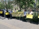 اساتید اخراج‌شده دانشگاه فرهنگیان: آموزش و پرورش صدای ما را نمی‌شنود/ ۱۰ ماه حقوق نگرفتیم