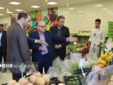 تشدید نظارت بر بازار میوه سمنان؛ حقوق مصرف کنندگان رعایت شود