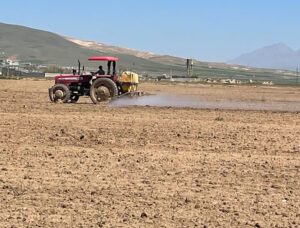 جهاد کشاورزی لرستان: ۴۰۰ هکتار نخود در تناوب با گندم در ازنا کشت شد