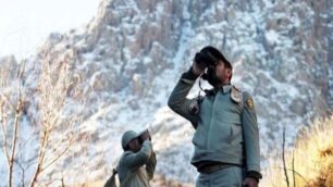 حمله به حافظان جنگل؛ آغاز بحثی تازه درباره بوم‌تروریسم