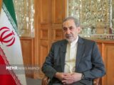 ولایتی: ضامن عینی بقای توافق،⁧‫تنگه هرمز‬⁩ است