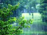 پیش بینی وضعیت جوی در روزهای میانی هفته آینده