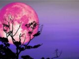 تاریخ دقیق رویت ماه توت فرنگی تیر ۱۴۰۵/ فرصت تماشای ماه را از دست ندهید