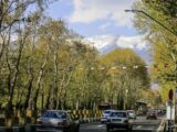 نمایی از خیابان ولیعصر در دهه ۴۰ + عکس