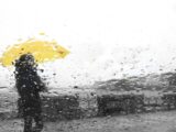 وضعیت هوای فردا / هشدار هواشناسی در ۷ استان صادر شد