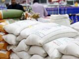 سهم ۲.۲درصدی ایران از کل واردات برنج در ۲۰۲۵؛ ایران وارداتی ۷۴۹میلیون دلاری به ثبت رساند