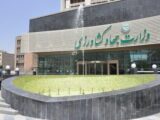 اطلاعیه ستاد تنظیم بازار وزارت جهاد کشاورزی در خصوص واردات کالاهای مجاز