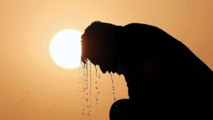تلفات بی‌سابقه گرما در آلمان