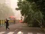 هشدار نسبت به وزش تندباد در تهران