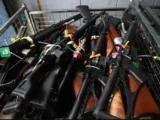 کلید خوردن بزرگ‌ترین طرح جمع‌آوری اسلحه در استرالیا