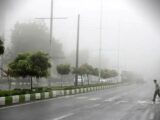 گرمای ۵۰ درجه و رطوبت ۱۰۰ درصدی در استان بوشهر؛ وضعیت نارنجی در شهرهای ساحلی